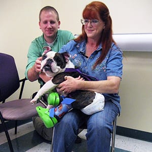 prosthetic leg for dogs